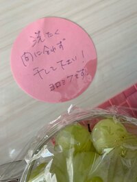 生田智子『伝言メモ』