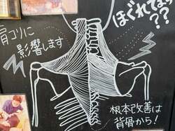  堀ちえみ、整体の先生と話したことを明かす「本当にその通り」