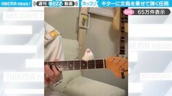 「ホッコリする…」文鳥がギターの音色にとろけてる姿に「ベテランの貫禄」「鳥さんにもいい音色ってわかるのか」と反響
