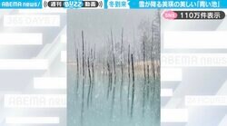 「まるで絵画のよう」冬の白金青い池の“幻想的な風景”に「静かな季節の景色が似合う」「寒そうだけど行ってみたい！」と絶賛の声