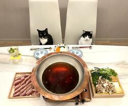  藤あや子、取り寄せ品で堪能した絶品な夕食「ご馳走」「最高のお家ご飯」の声 