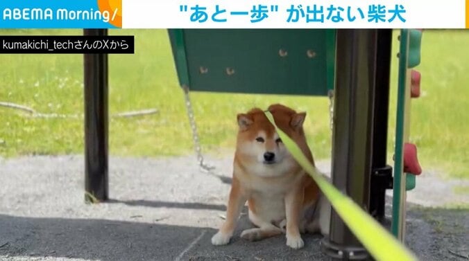 クマキチくん