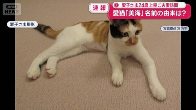 雅子さまが撮影された写真