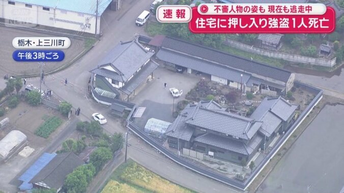 現場の住宅は敷地がかなり広い