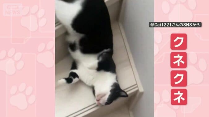 クネクネさせながら階段を滑り降りる