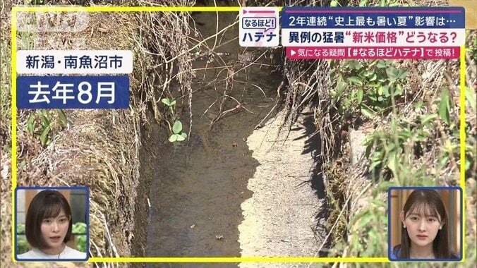 田んぼに水を引くための用水路（去年8月）