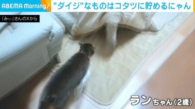 【写真・画像】　1枚目