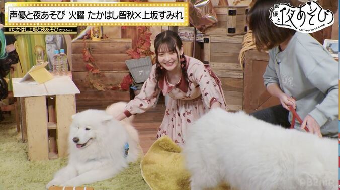 上坂すみれのてんこ盛り誕生日パーティー開幕！たかはし智秋のサキュバスコスプレも披露『声優と夜あそび』 4枚目