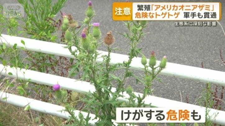 気づかず触れるとけがする可能性も