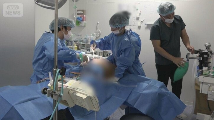 “美容整形の後遺症”相談増　海外手術後に違和感　「トラブル初診件数は5年で5倍」