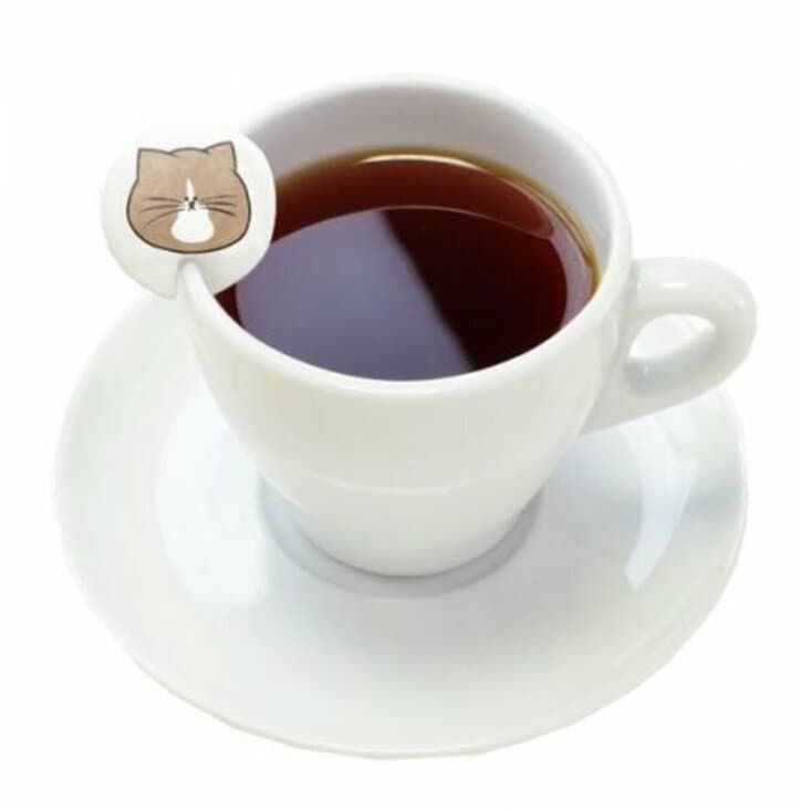 『鴻池剛と猫のぽんた ニャアアアン！』コラボカフェが登場　ぽんた＆アルフの可愛いメニューも公開