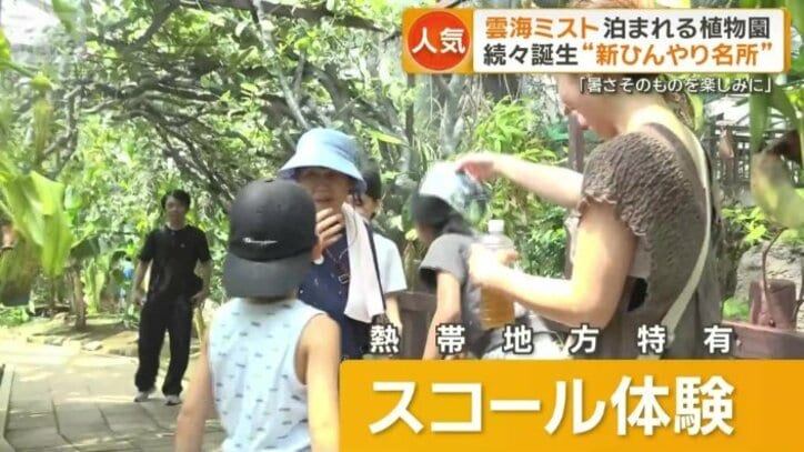 熱帯地方特有のスコール体験