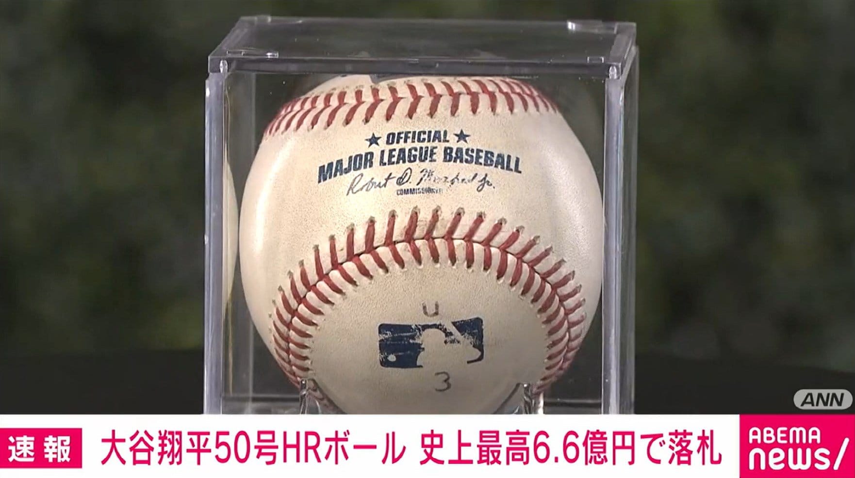 大谷翔平50号HRボール 史上最高の約6億6300万円で落札 | 国際 | ABEMA TIMES | アベマタイムズ