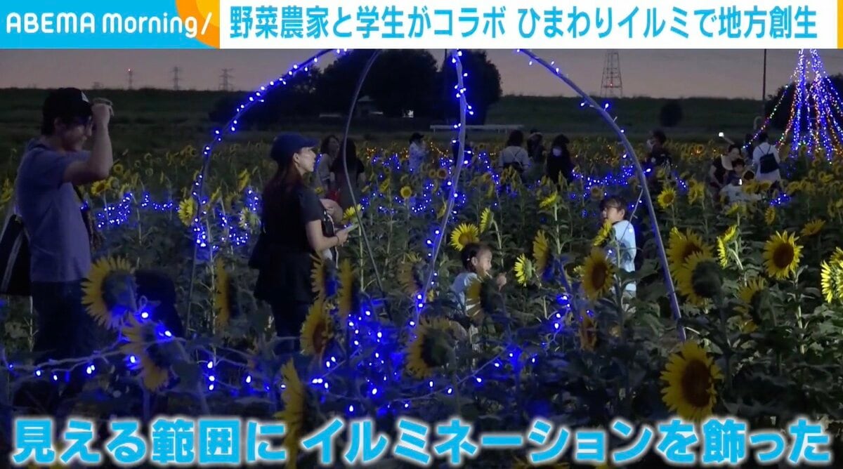 野菜農家と学生のコラボ企画が話題 ひまわりをライトで彩った
