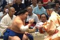 藤ノ川が琴櫻を“ぶん投げた”らスゴイ展開に 著名人2人が揃って「お口あんぐり」 カメラが捉えた面白リアクション「シンクロしてるw」