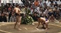大相撲、着物姿の美人女優が“お口あんぐり” 大関霧島の豪快な投げで隣の大物落語家とまさかのシンクロ 珍しい光景