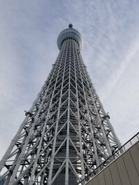 向山志穂『今年も宜しくお願い致します。』