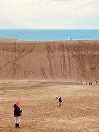ダイアモンド☆ユカイ『俺たちの鳥取砂丘』