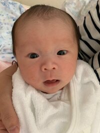 キンタロー。旦那『“ちびキン”ちゃんの泣き方で要望を読み解く。』