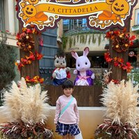 川島菜月『愛される術』