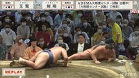 【映像】土俵の角に腹を強く打ち付けた剣翔
