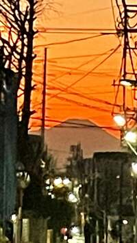 細川直美『検診』