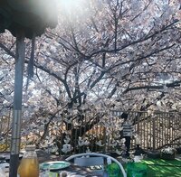 市川海老蔵『もっと大きく』