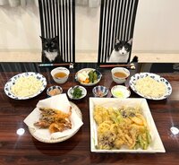 藤あや子『昨日の晩ごはん』