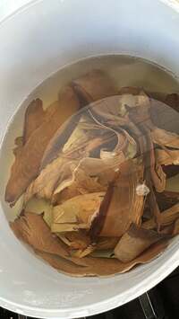 Seiko Darvish『登板日のランチは』