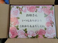 高橋英樹『母の日のプレゼント』