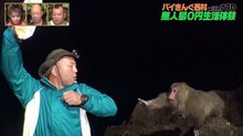 野生の猿 バイきんぐ西村に襲いかかる 無人島で食材かけた手に汗握るシーソーゲームに小峠英二 緊張感のある回 バラエティ Abema Times