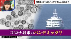 「特効薬がない」致死率40〜50%の“ハンタウイルス”日本での流行リスクは？医師は「はしかの方が危ない」と警鐘