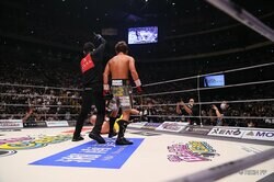 【画像】“前のめり”ダウンで劇的決着