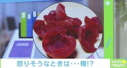 “パブロフのカリカリ梅“！？ イラッとした時の「ライフハック」に爆笑の嵐