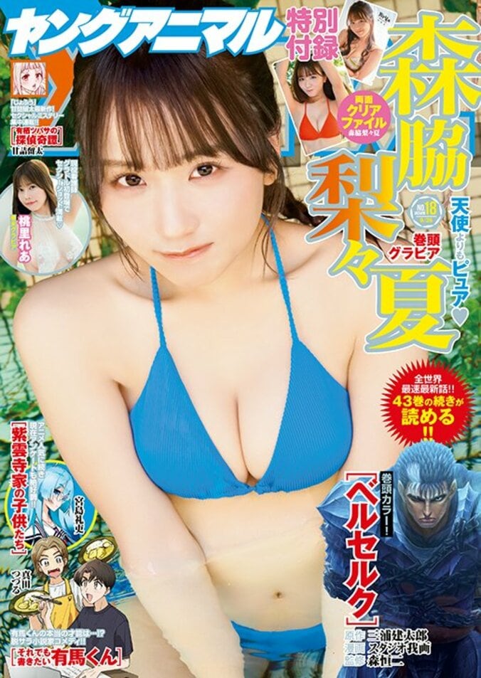 『ヤングアニマル』25年18号