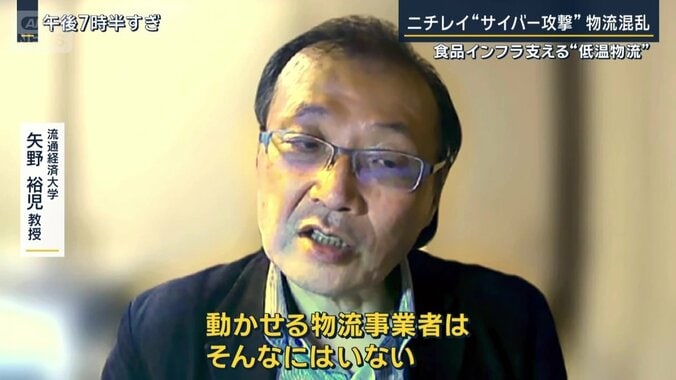 流通経済大学　矢野裕児教授