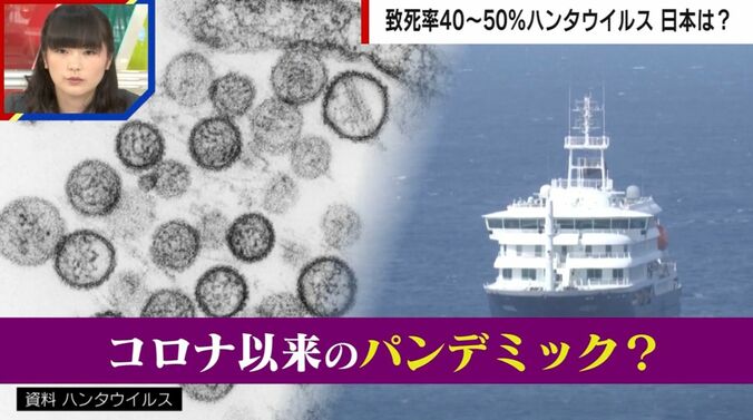 【写真・画像】「特効薬がない」致死率40〜50%の“ハンタウイルス”日本での流行リスクは？医師は「はしかの方が危ない」と警鐘　1枚目