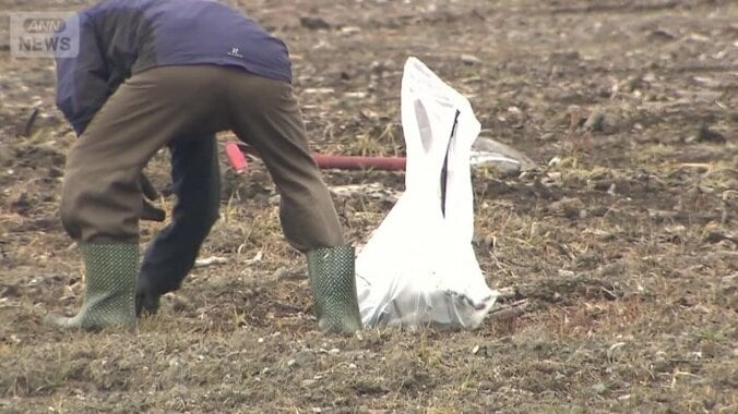 土砂からガラス片やプラスチック片発見