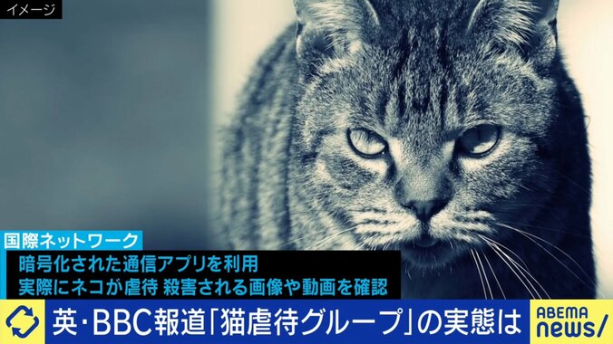 動物虐待が世界でも問題に
