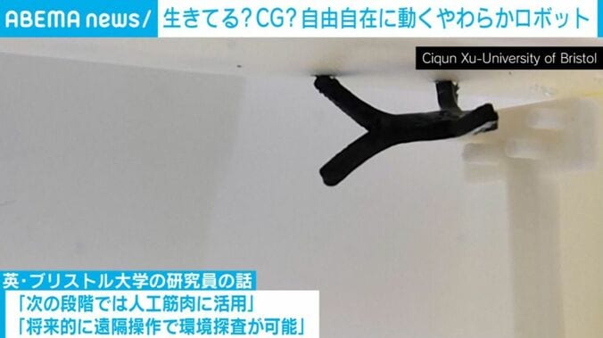 外部電界で形状変化するロボット