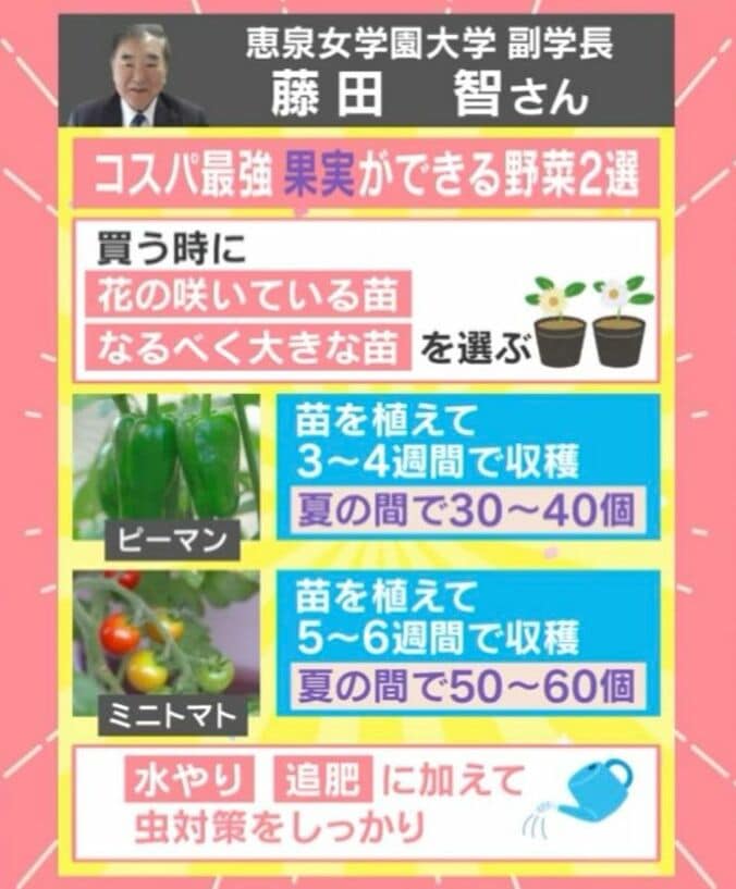 コスパ最強野菜