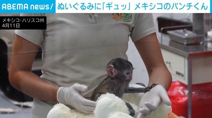 メキシコ・ハリスコ州