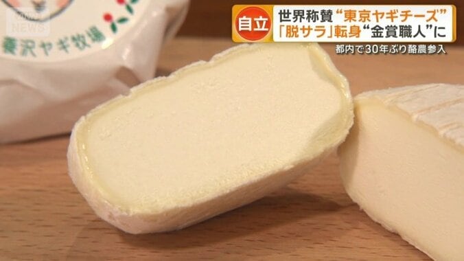 ヤギのミルクで作ったチーズ