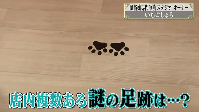 吉原の風俗嬢専門フォトスタジオに潜入！ 修正技術に衝撃「一番はリピートしてもらうこと」 4枚目