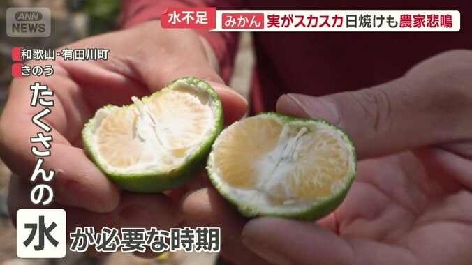 たくさんの水が必要な時期