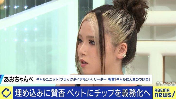 犬猫の殺処分、マイクロチップの埋め込み義務化だけでは抑制できない?背景にある“ペットショップ問題”とは