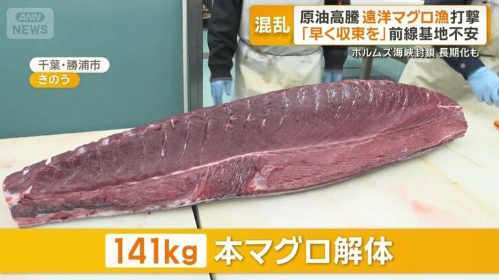 141キロの本マグロの解体