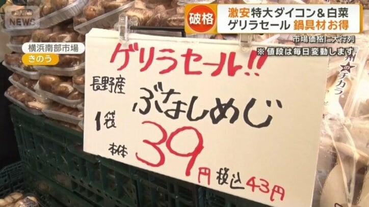 ブナシメジ1袋43円