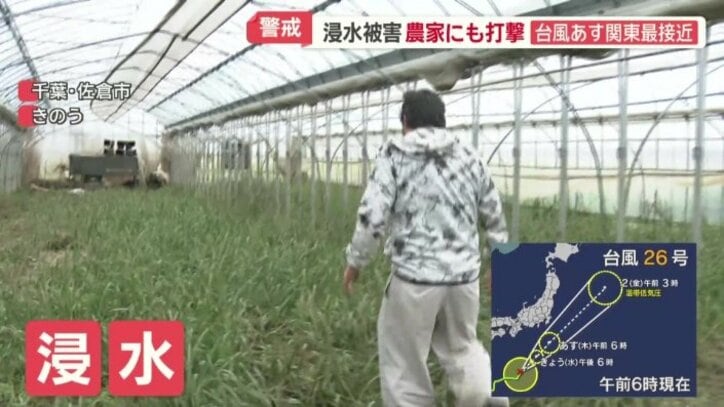 ハウスが浸水