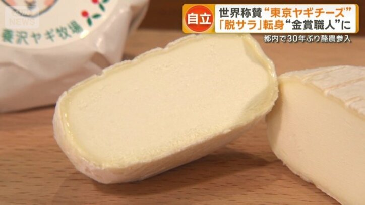 ヤギのミルクで作ったチーズ